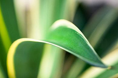 《最终幻想7：重制版》爱丽丝礼服原画欣赏：魅力十足！